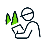 Arborist examining trees Icon