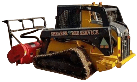 Shearer Tree Service Tree Removal Equipment