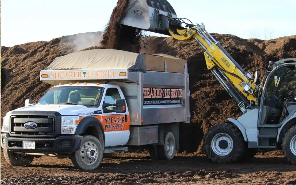 worker dumping soil into truck