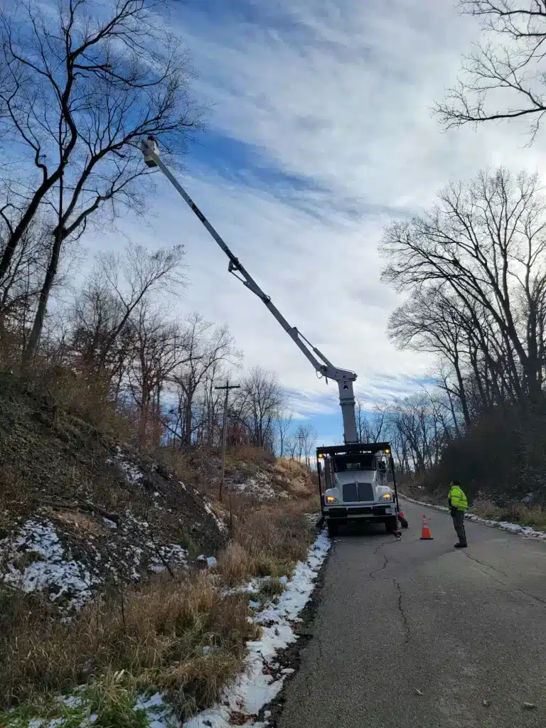 Two workers working together to remove tree