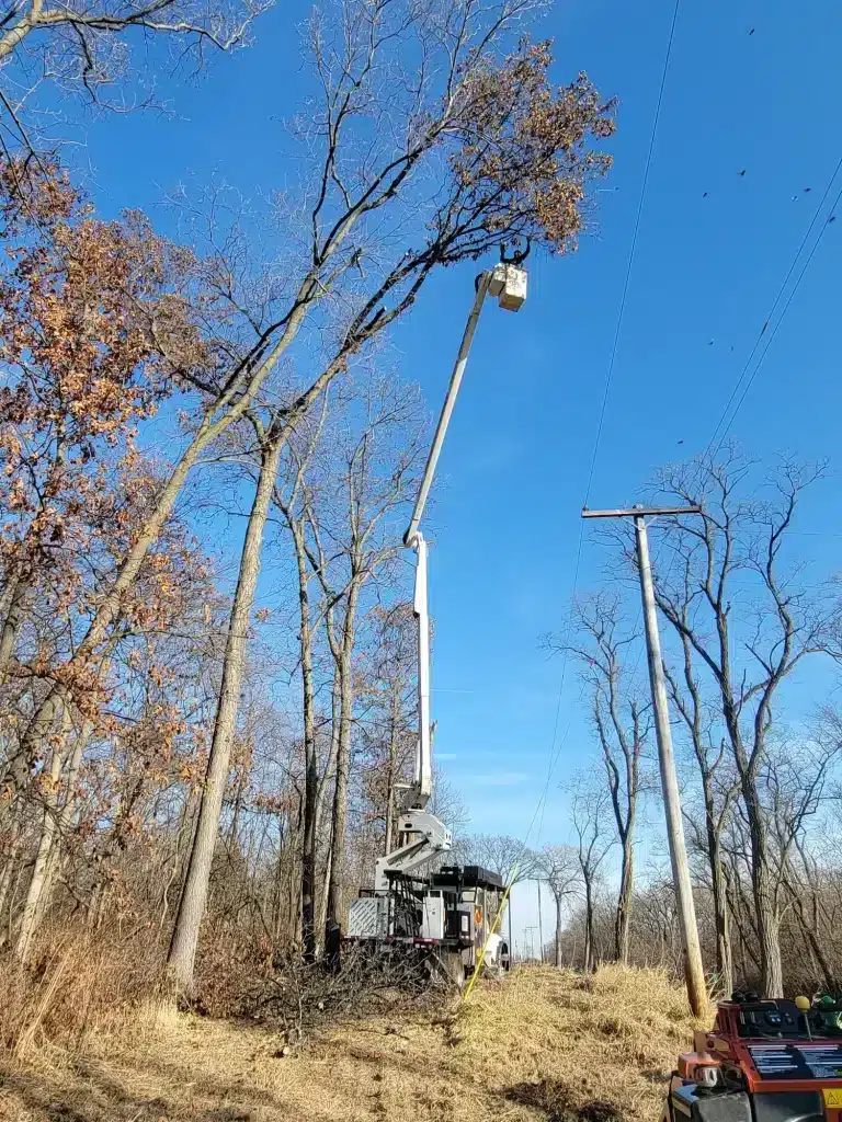 worker on crane machine to remove tree