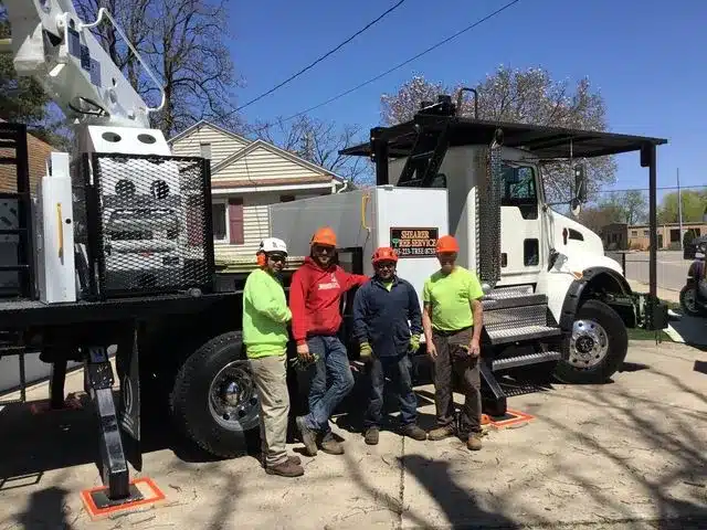 Shearer Tree Service Workers