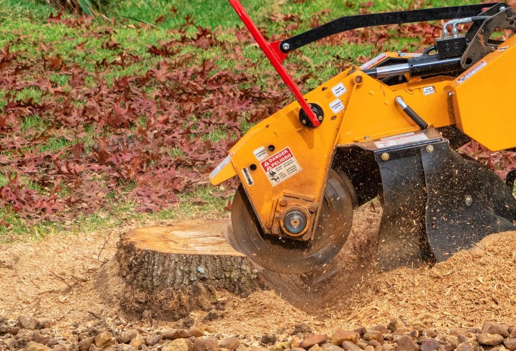 stump grinding a tree trunk